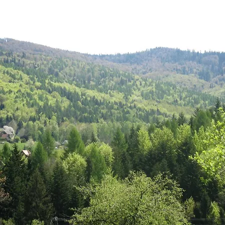 Guest house Miodowy Raj Targanice